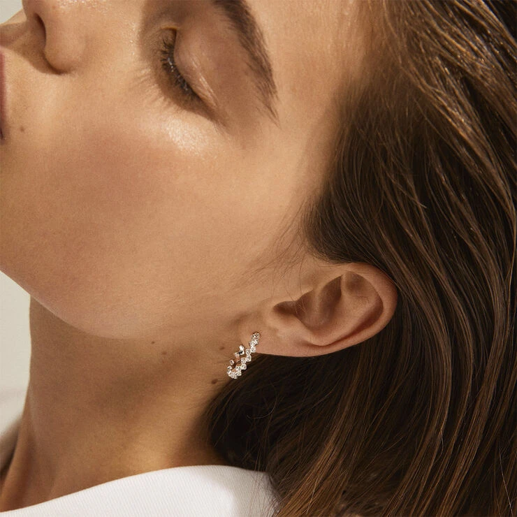 Pilgrim Øreringe : Jolene : Sølvbelagt : Kr 5 Pilgrim Øreringe : Jolene : Sølvbelagt : Kr - Billede 3