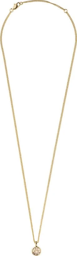 DYRBERG/KERN Ettesggoldenshadow