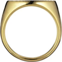 Jane Kønig Reflection Signet Ring, Gold-plated Sterling Silver-46 10 Jane Kønig Reflection Signet Ring, Gold-plated Sterling Silver-46 -Enamel Copenhagen Salg 5715180051876 4
