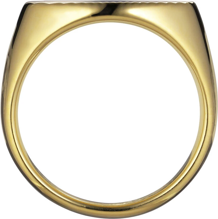 Jane Kønig Reflection Signet Ring, Gold-plated Sterling Silver-46 6 Jane Kønig Reflection Signet Ring, Gold-plated Sterling Silver-46 - Billede 4